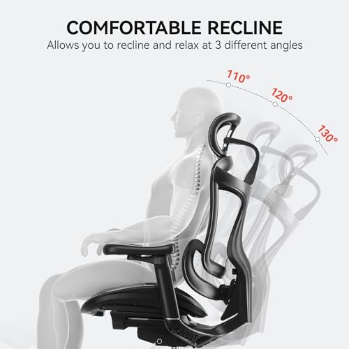 SIHOO Doro C300 Ergonomic Office Chair with 3D Armrests, Grey I3197